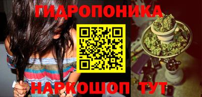 гашик Усть-Илимск