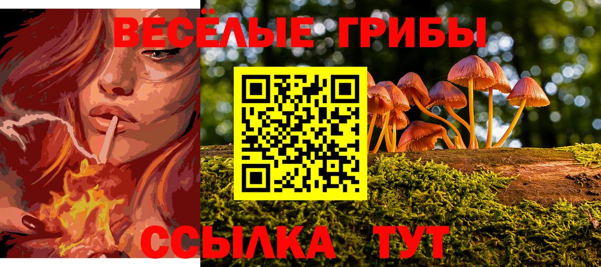 Псилоцибиновые грибы Psilocybine cubensis  Вход с VPN  закладка  Моздок 