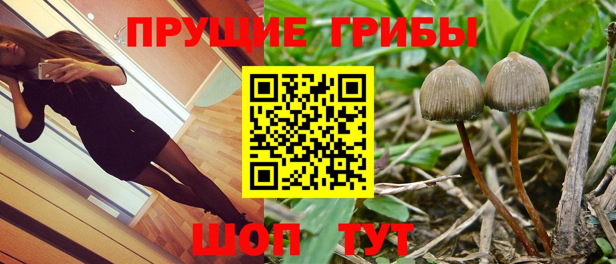 Псилоцибиновые грибы мухоморы Моздок